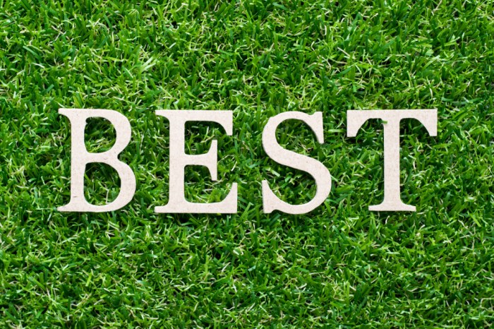 Best AI App for Creating Deepfake Videos A Comprehensive Overview