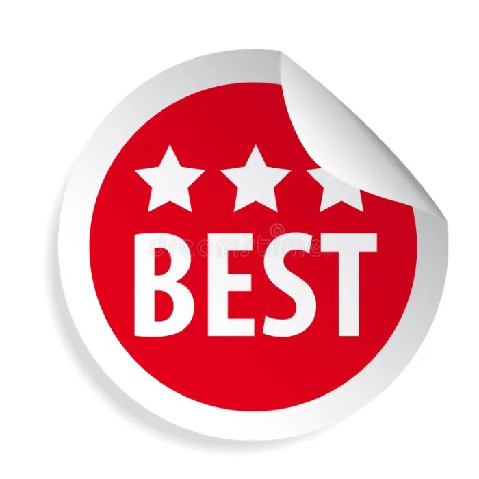 Best AI Coding Assistant App for Python Developers A Deep Dive